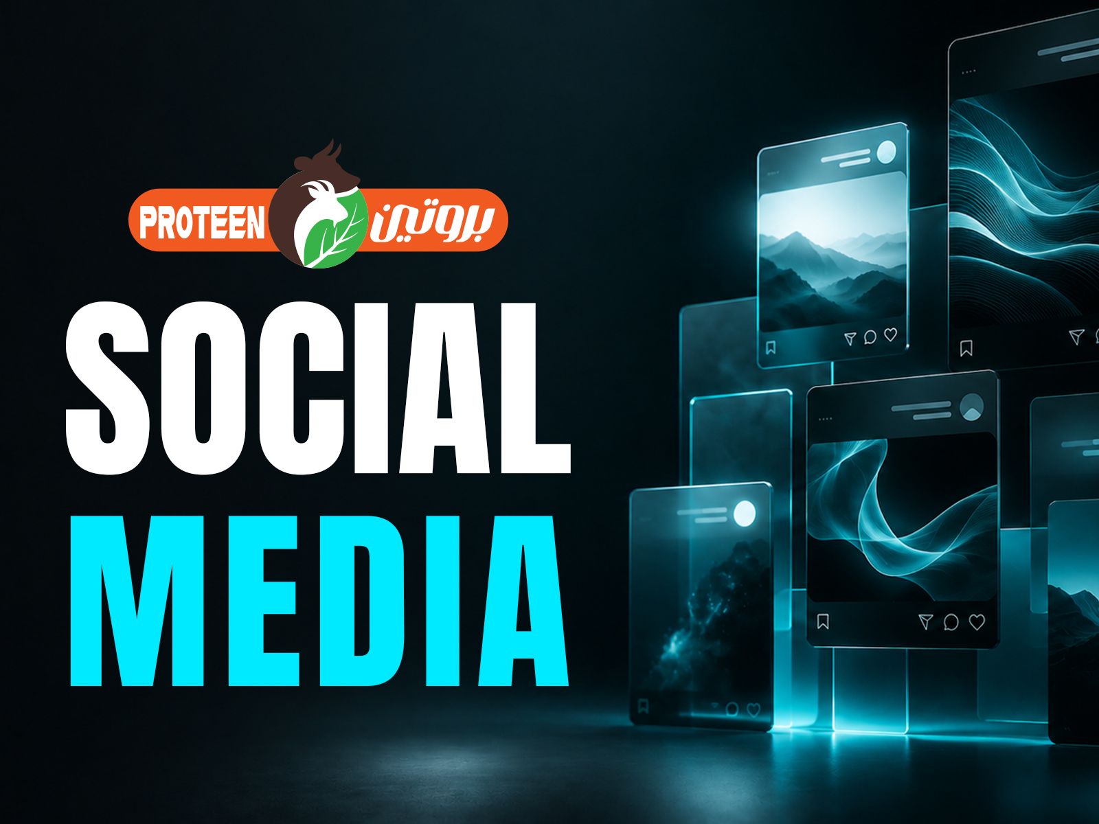 PROTEEN - Social Media